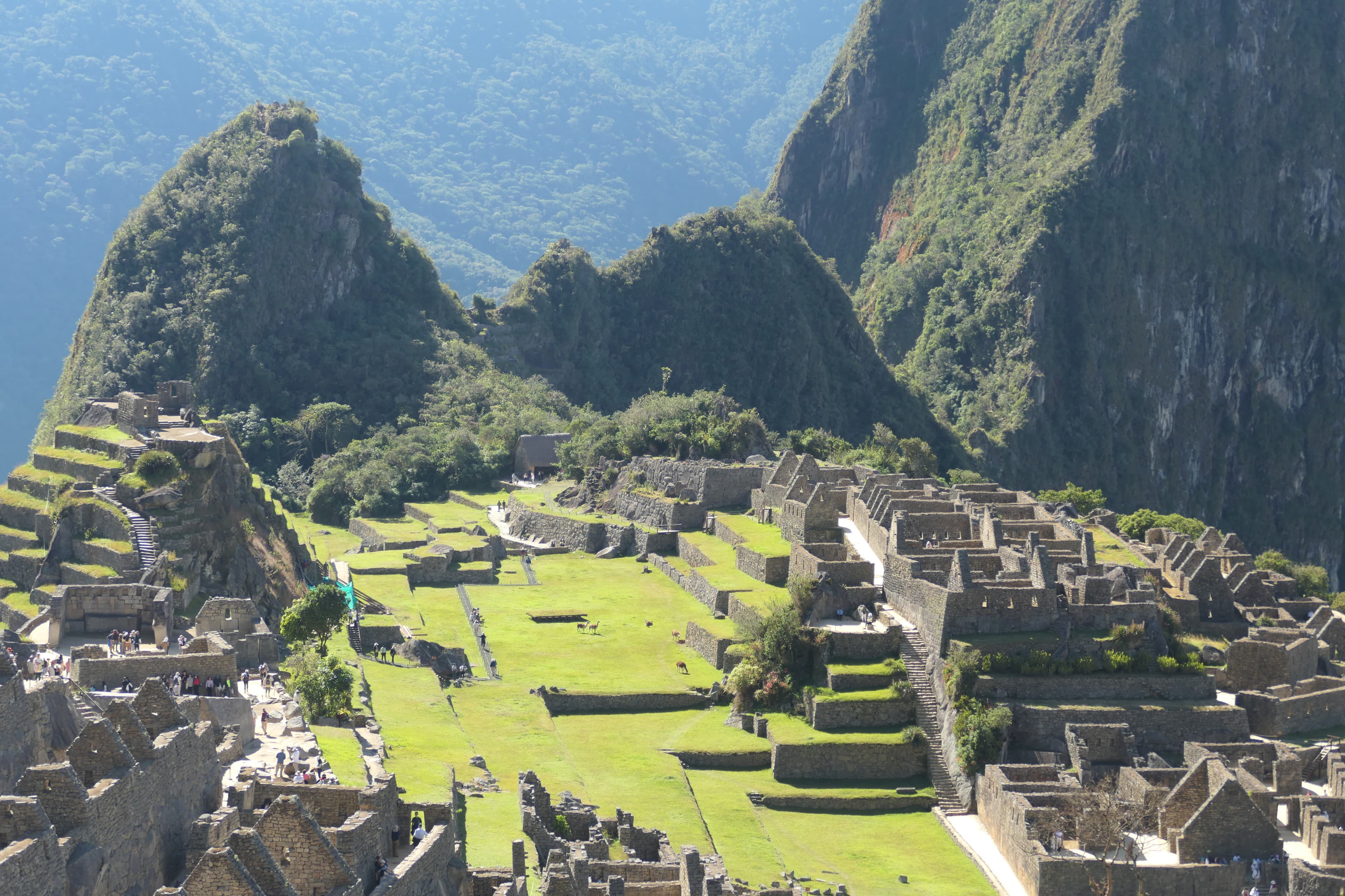 Machu Picchu